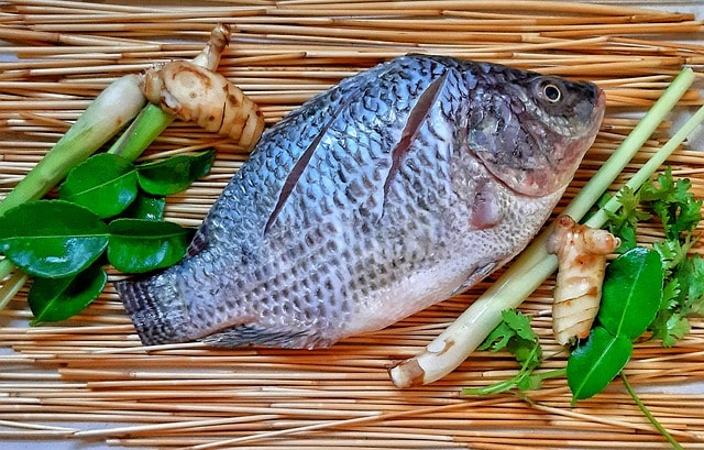 tilapia, kosher fish