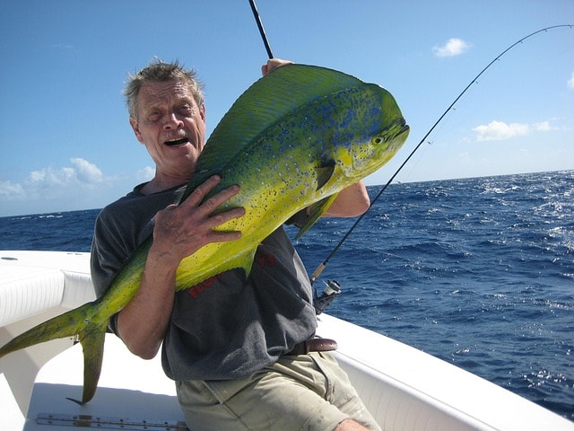 dolphin, fish, mahimahi, common dolphinfish, coryphaena hippurus, surface-dwelling fish, ray-finned fish, fishing, key west, seafood, man, fisherman, fisching, blue fish, blue key, blue fishing, mahimahi, fishing, key west, key west, nature, key west, key west, key west
